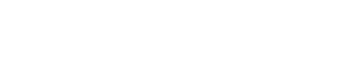 Investor 1
