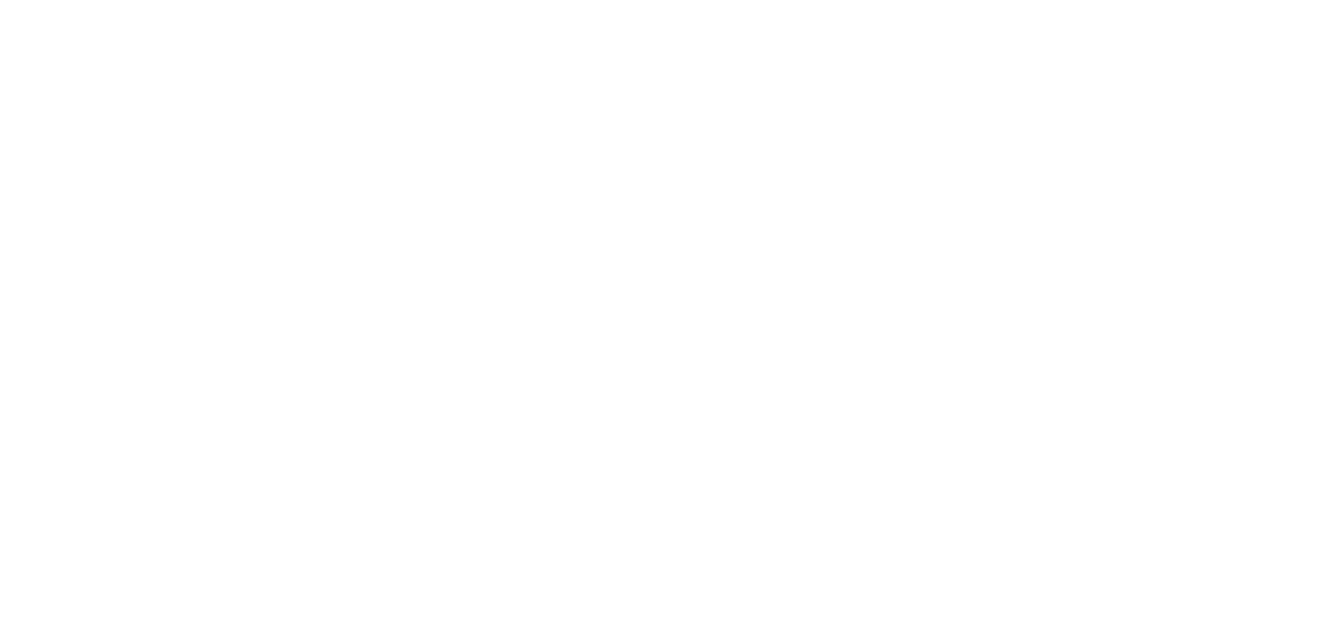 Investor 2