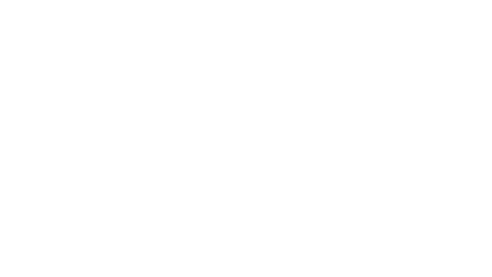 Investor 4
